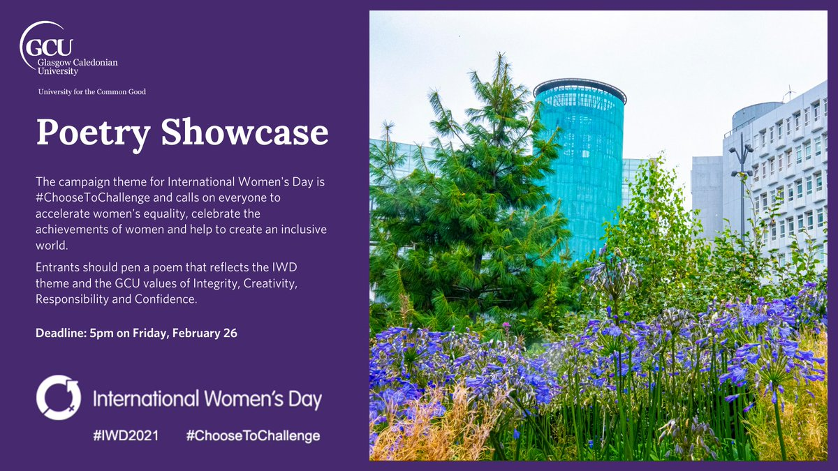 IWD social media resources